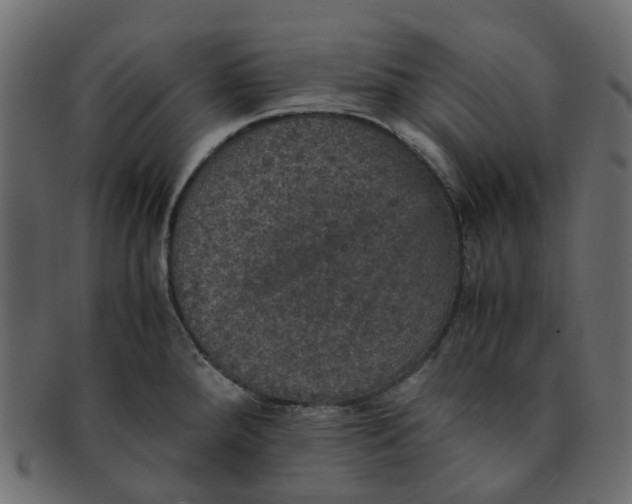 X0000091551288200709071208