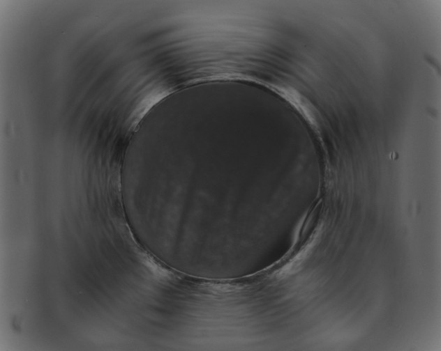 X0000091551289200709071208