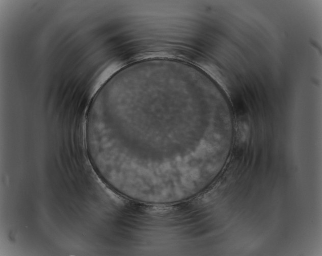 X0000091551290200709071208