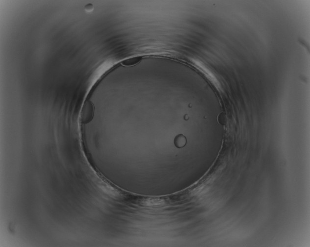 X0000091551291200709071208