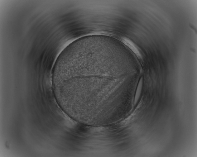 X0000091551292200709071208