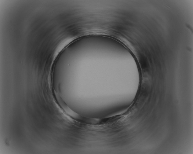 X0000091551293200709071208