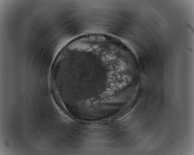 X0000091551295200709071208