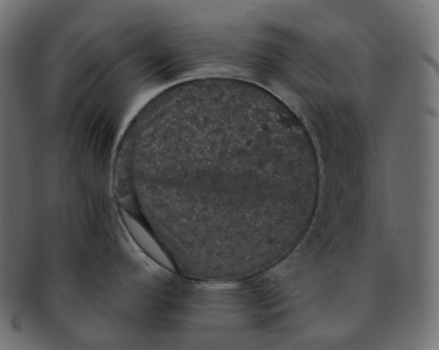 X0000091551296200709071208
