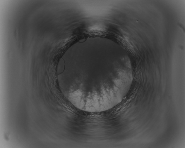 X0000091551297200709071207