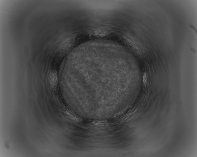 X0000091551299200709071207