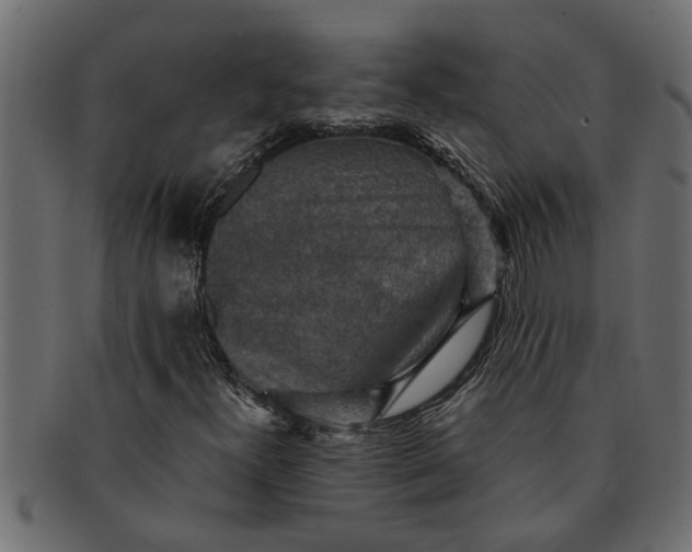 X0000091551300200709071207