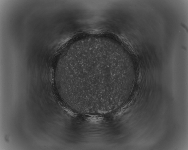 X0000091551301200709071207