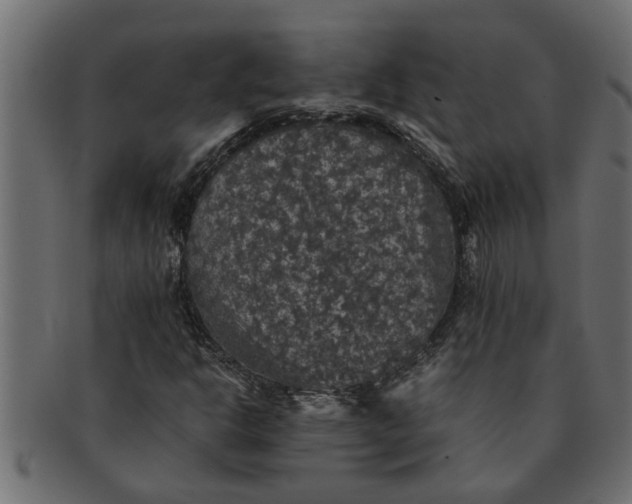 X0000091551302200709071207