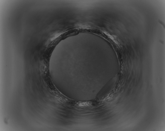 X0000091551303200709071207