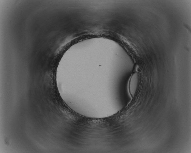 X0000091551304200709071207