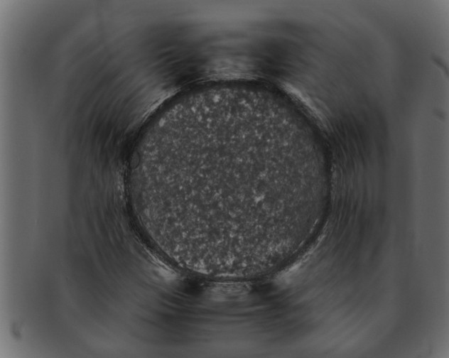 X0000091551305200709071207