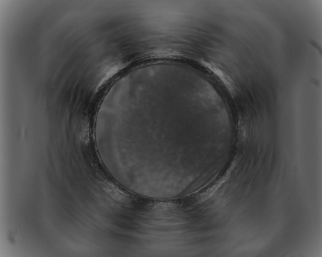 X0000091551306200709071207
