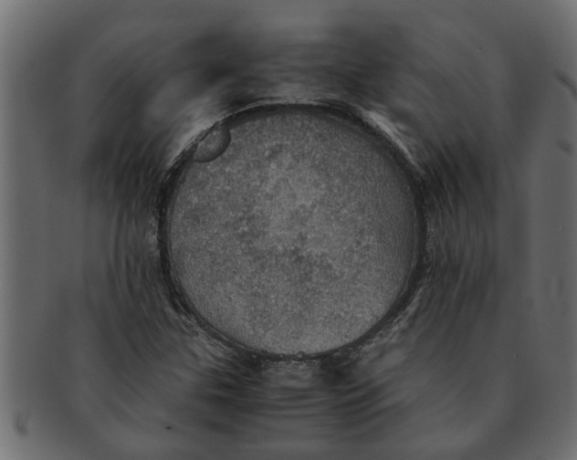 X0000091551307200709071207