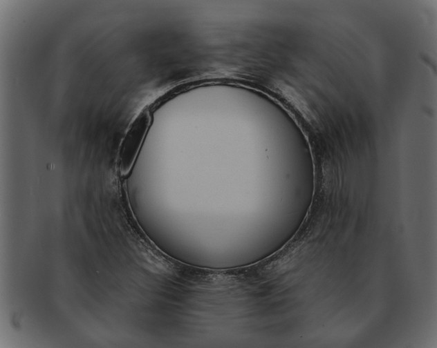 X0000091551308200709071207