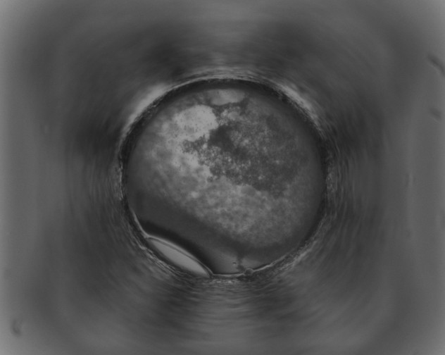 X0000091551310200709071207