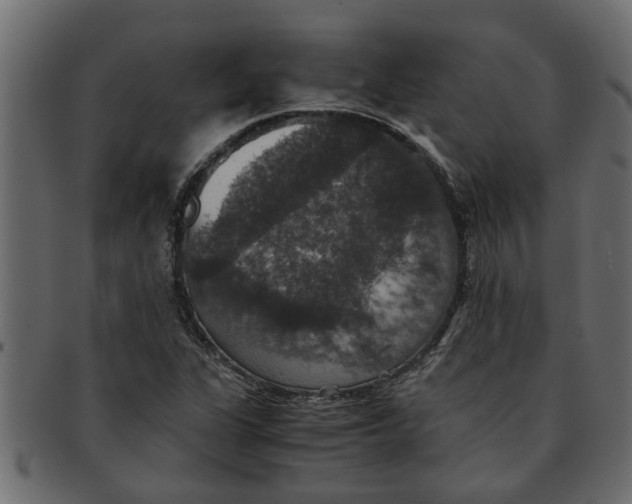 X0000091551311200709071207