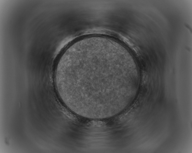 X0000091551312200709071207