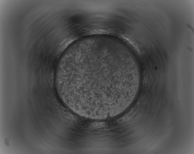X0000091551313200709071207