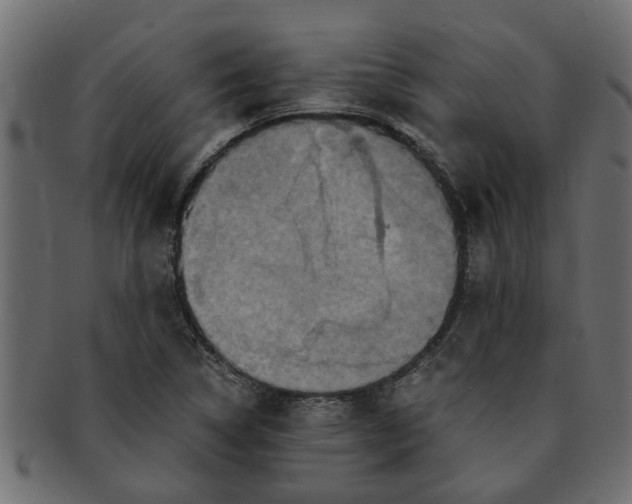 X0000091551314200709071207