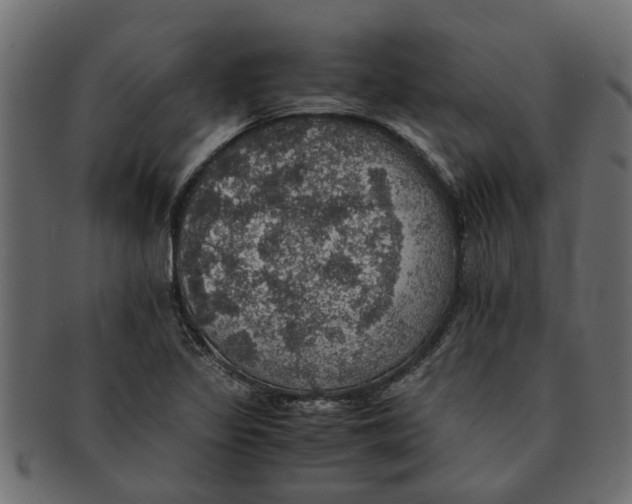 X0000091551317200709071207