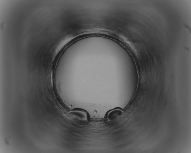 X0000091551320200709071207
