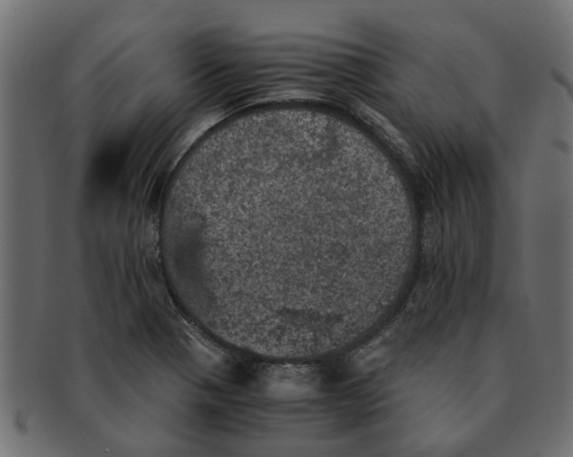 X0000091551321200709071207