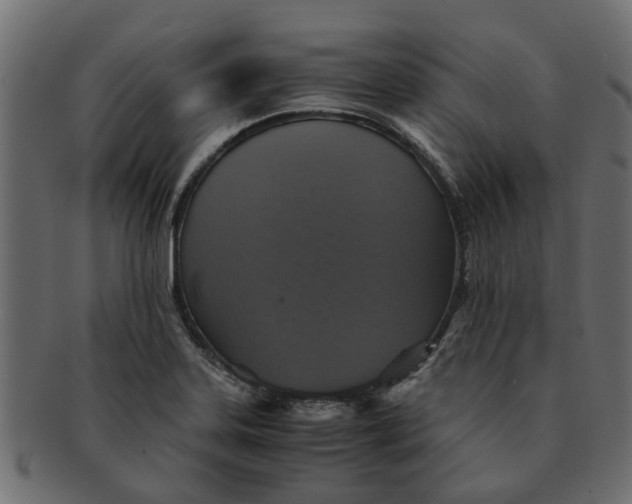 X0000091551323200709071207