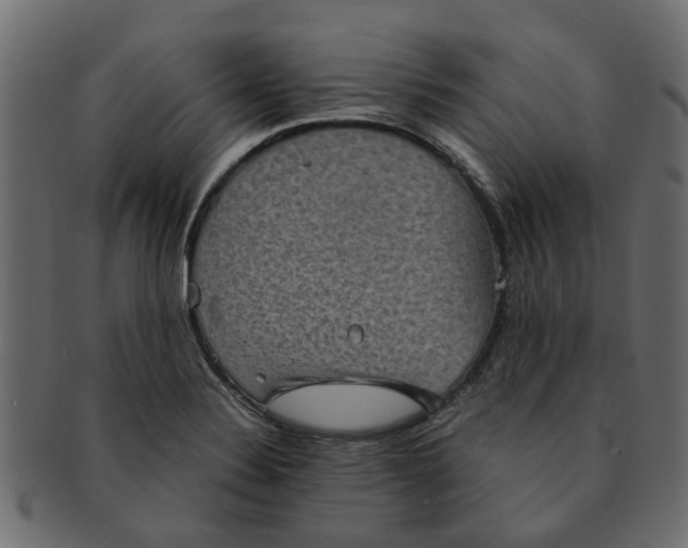 X0000091551324200709071207