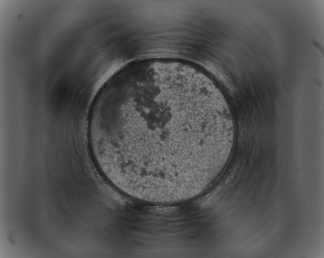 X0000091551325200709071207