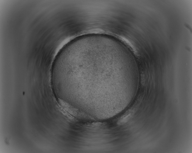 X0000091551326200709071207