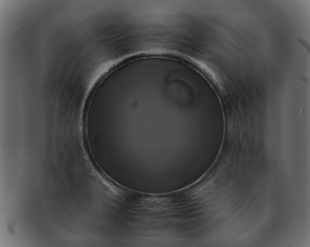 X0000091551327200709071207