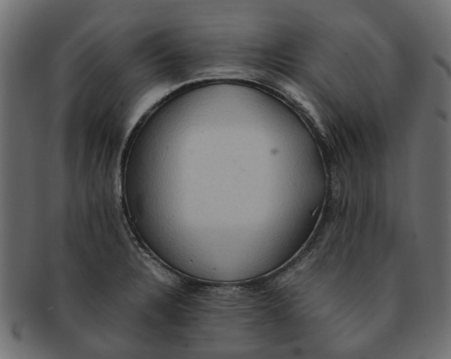 X0000091551328200709071207