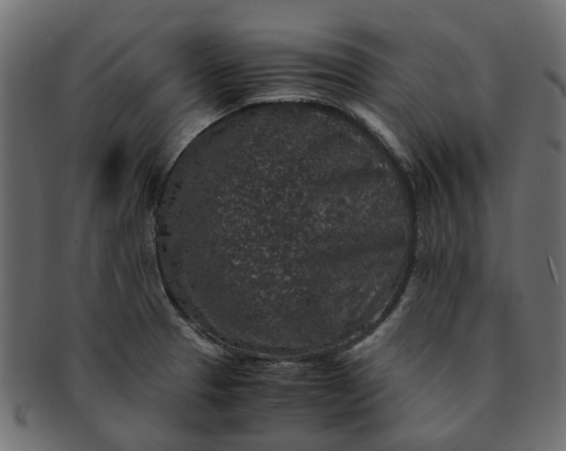 X0000091551329200709071207