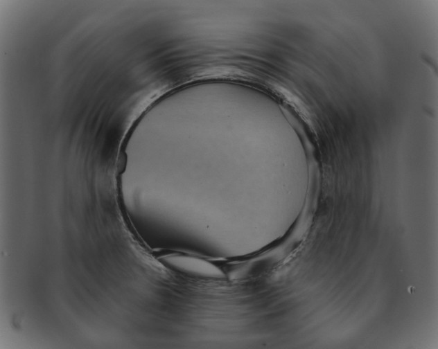 X0000091551330200709071207