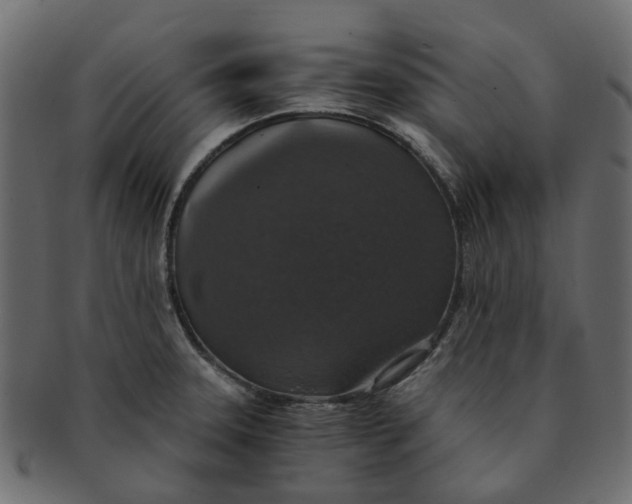 X0000091551331200709071207
