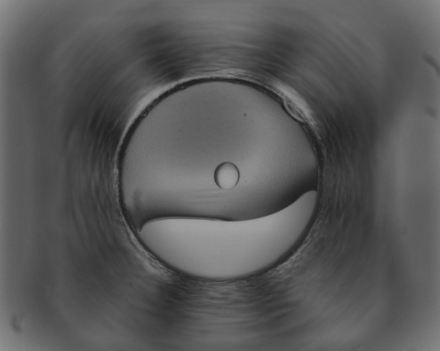 X0000091551332200709071207