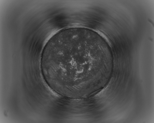 X0000091551333200709071207