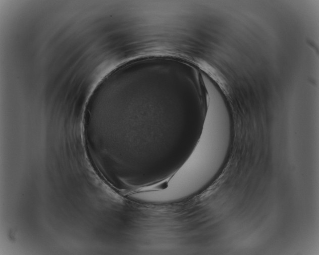 X0000091551334200709071207