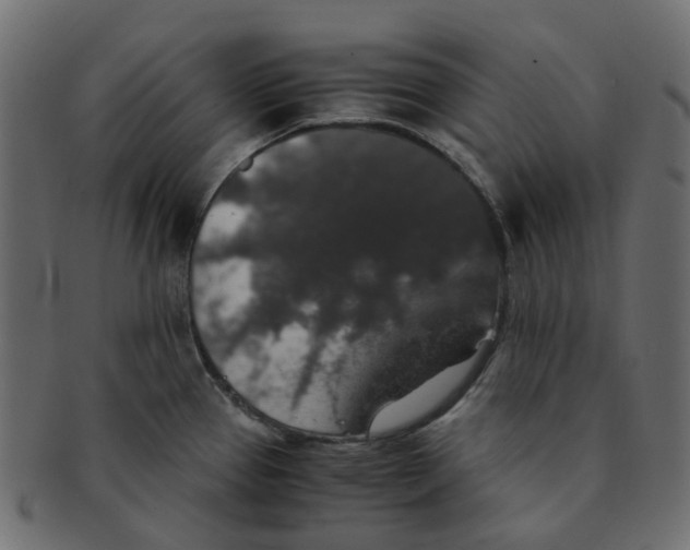 X0000091551337200709071208