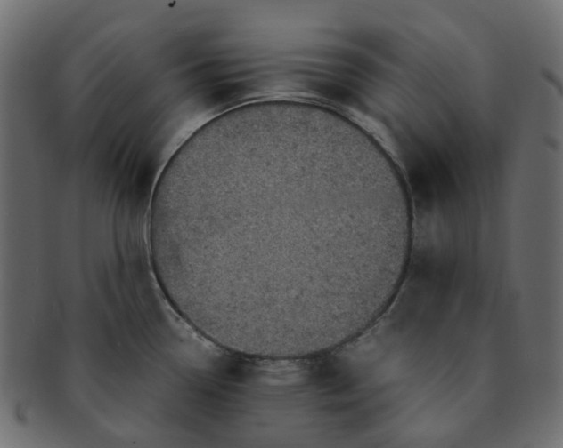 X0000091551338200709071208