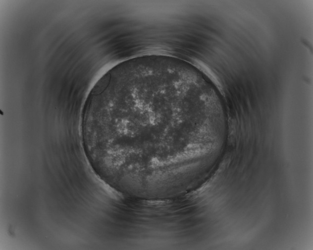 X0000091551339200709071208