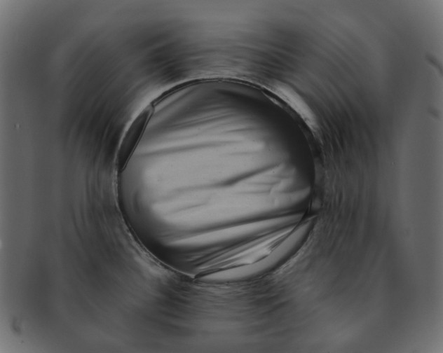 X0000091551340200709071208