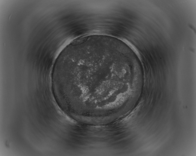 X0000091551341200709071208
