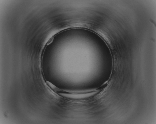 X0000091551342200709071208