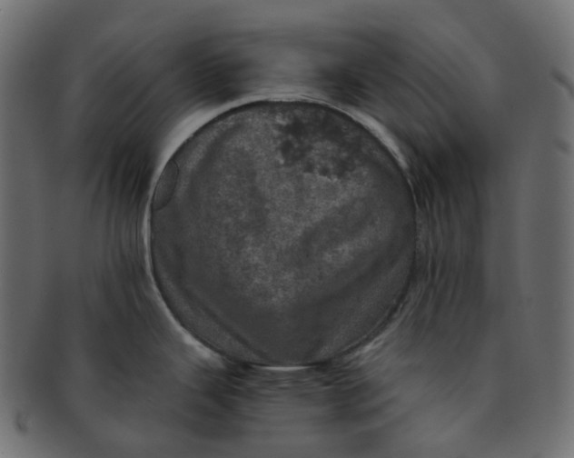 X0000091551343200709071208