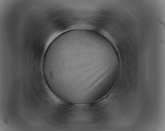 X0000091551344200709071208