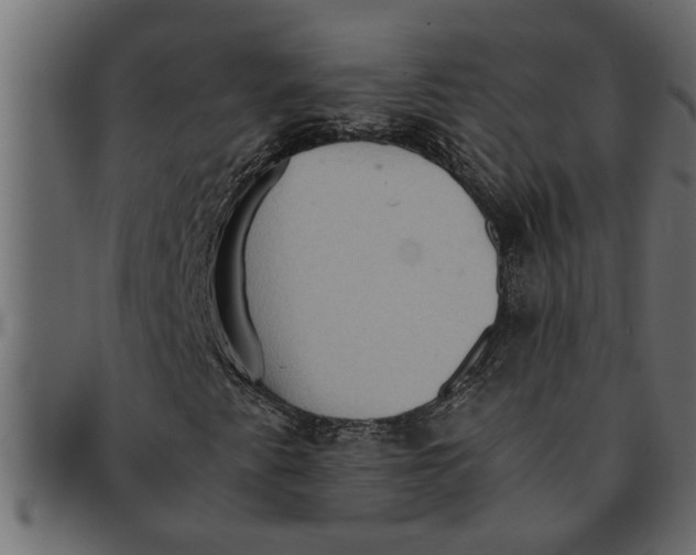 X0000091551345200709071207