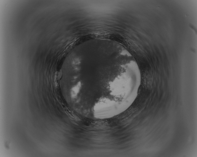X0000091551346200709071207