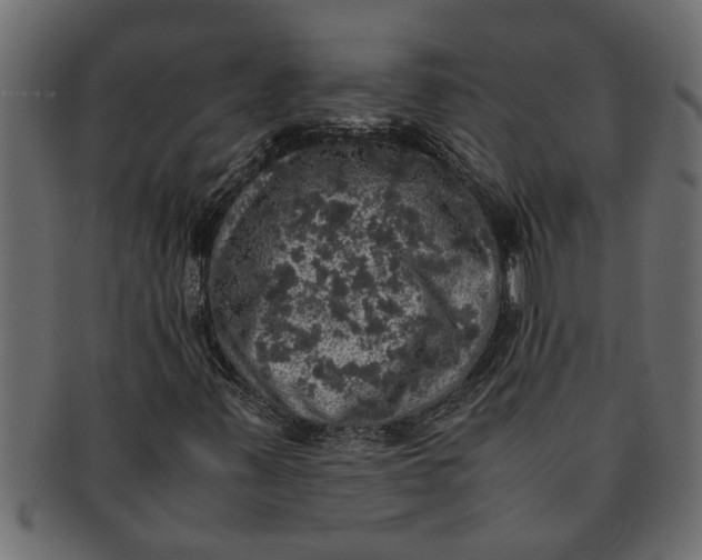 X0000091551347200709071207